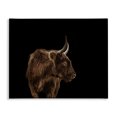 thumbnail image 1 of Stupell Industries Farmhouse Cattle Side Portrait Minimal Modern Farm Photography Canvas Art, 40 x 30, by Marika Moffit, 1 of 7