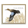 thumbnail image 1 of Stupell Industries Farmhouse Cinnamon Teal Duck Flying Gold Floating Frame Canvas Art, 21 x 17, by Jadei Graphics, 1 of 8