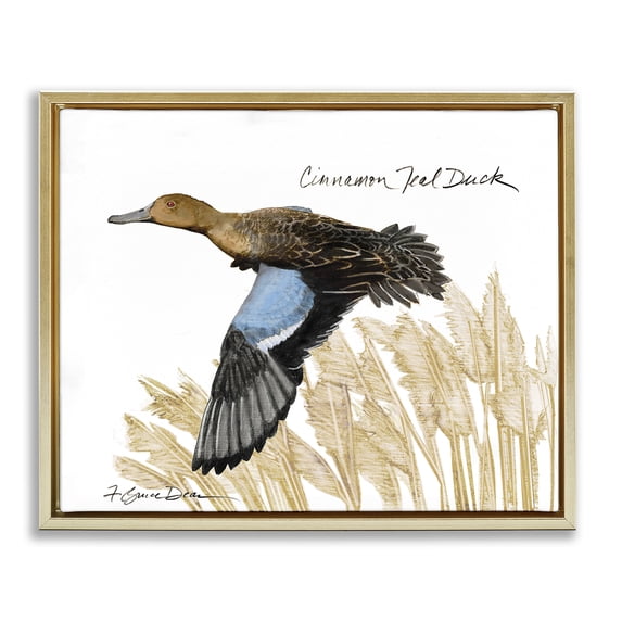 Stupell Industries Farmhouse Cinnamon Teal Duck Flying Gold Floating Frame Canvas Art, 21 x 17, by Jadei Graphics