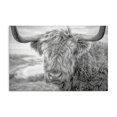 thumbnail image 1 of Stupell Industries Farmhouse Close Up Fuzzy Cattle Canvas Art, 24 x 16, by Jasper Huish, 1 of 8