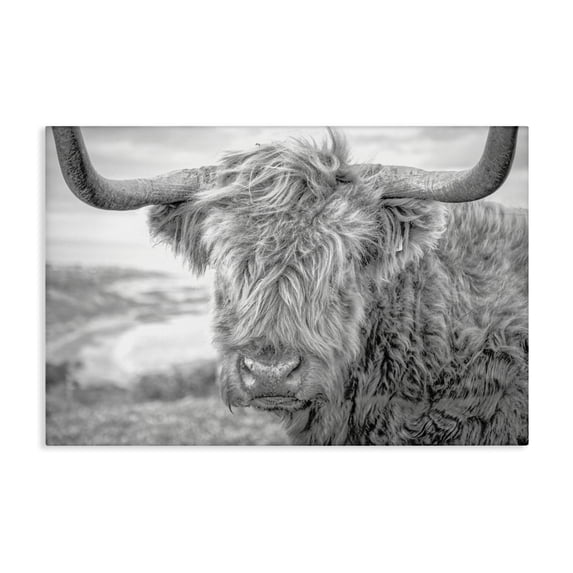 Stupell Industries Farmhouse Close Up Fuzzy Cattle Canvas Art, 24 x 16, by Jasper Huish