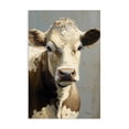 thumbnail image 1 of Stupell Industries Rustic Lodge Farmhouse Cow with Gentle Gaze Canvas Art, 16 x 24, by Creative Studio, 1 of 8