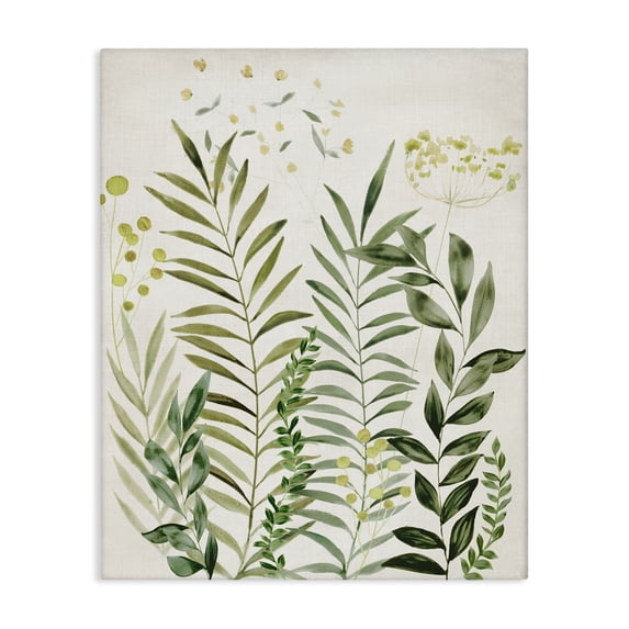 Stupell Industries Farmhouse Delicate Herbs & Leaves Canvas Art, 16 x 20, by Hannah Dawson
