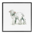 thumbnail image 1 of Stupell Industries Farmhouse Fluffy Baby Sheep Minimal Farm Animal over White Black Framed Giclee Art, 17 x 17, by Carol Robinson, 1 of 7