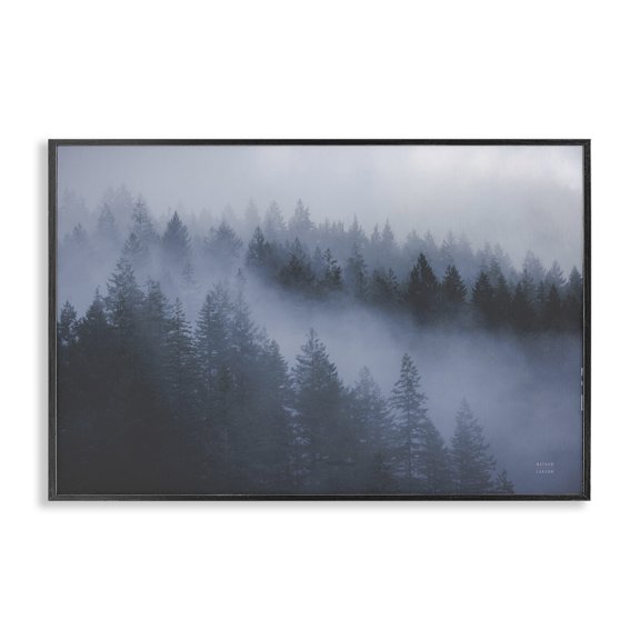 Stupell Industries Farmhouse Fog Filled Trees Landscape Black Framed Giclee Art, 18 x 12, by Nathan Larson