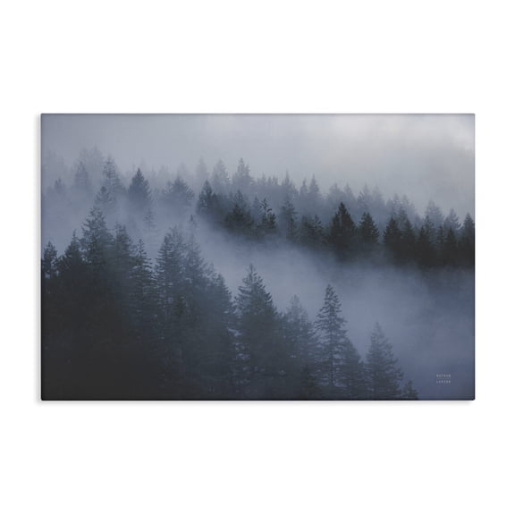 Stupell Industries Farmhouse Fog Filled Trees Landscape Canvas Art, 24 x 16, by Nathan Larson