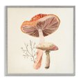 thumbnail image 1 of Stupell Industries Farmhouse Forest Botanical Woodland Plants Gray Framed Giclee Art, 12 x 12, by Lucca Sheppard, 1 of 7