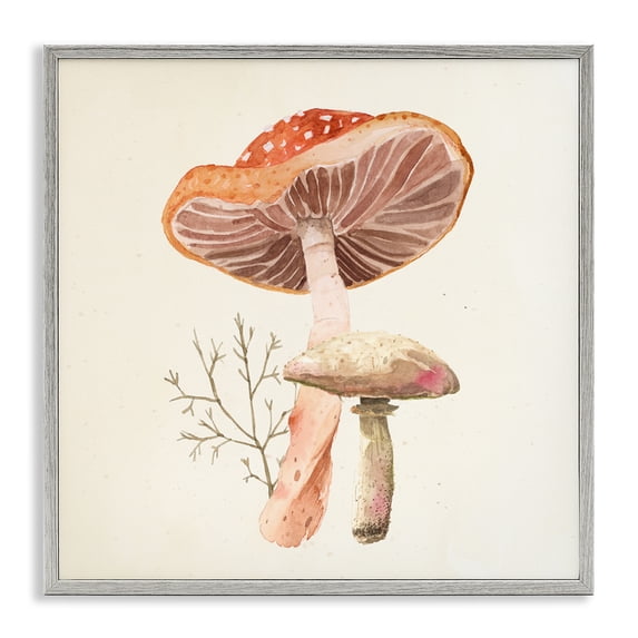 Stupell Industries Farmhouse Forest Botanical Woodland Plants Gray Framed Giclee Art, 12 x 12, by Lucca Sheppard