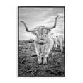 thumbnail image 1 of Stupell Industries Farmhouse Longhorn Calf Family Black Framed Giclee Art, 12 x 18, by Jasper Huish, 1 of 8