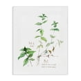 thumbnail image 1 of Stupell Industries Farmhouse Mint Sprigs Best of Herbs Watercolor Garden Plants Canvas Art, 16 x 20, by Verbrugge Watercolor, 1 of 7
