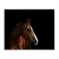 thumbnail image 1 of Stupell Industries Farmhouse Modern Horse Portrait Solemn Farm Animal Photography Canvas Art, 30 x 24, by Marika Moffit, 1 of 7