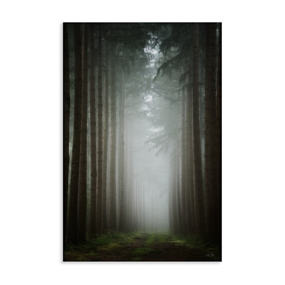 Stupell Industries Farmhouse Moonlight Through Dark Forest Canvas Art, 30 x 45, by Martin Podt