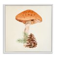 thumbnail image 1 of Stupell Industries Farmhouse Mushroom Pinecone Botanicals White Framed Giclee Art, 12 x 12, by Lucca Sheppard, 1 of 7