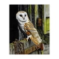 thumbnail image 1 of Stupell Industries Farmhouse Owl Perched on Barn Door Canvas Art, 16 x 20, by Steve Burgess, 1 of 7