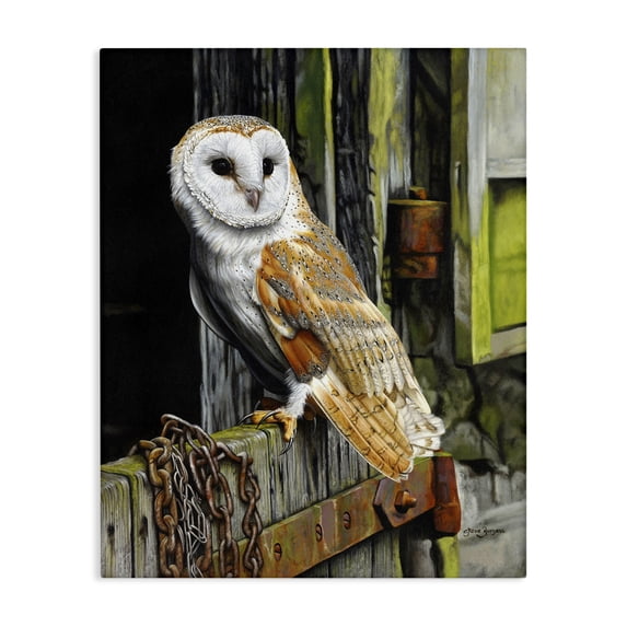 Stupell Industries Farmhouse Owl Perched on Barn Door Canvas Art, 16 x 20, by Steve Burgess