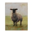 thumbnail image 1 of Stupell Industries Farmhouse Painterly Away From Flock Sheep Canvas Art, 24 x 30, by Ethan Harper, 1 of 7