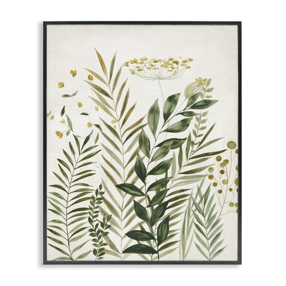 Stupell Industries Farmhouse Palm Leaves & Herbs Black Framed Giclee Art, 11 x 14, by Hannah Dawson