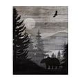 thumbnail image 1 of Stupell Industries Farmhouse Rustic Woodland Evening Canvas Art, 16 x 20, by Susan Arnot, 1 of 7