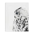 thumbnail image 1 of Stupell Industries Farmhouse Snow Owl Peering Blue Eyes Canvas Art, 36 x 48, by Design Fabrikken, 1 of 7