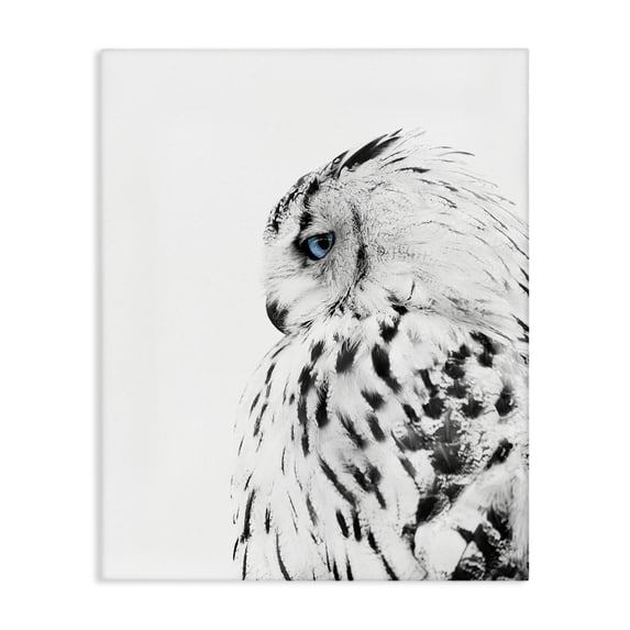Stupell Industries Farmhouse Snow Owl Peering Blue Eyes Canvas Art, 36 x 48, by Design Fabrikken