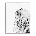 thumbnail image 1 of Stupell Industries Farmhouse Snow Owl Peering Blue Eyes Gray Framed Giclee Art, 16 x 20, by Design Fabrikken, 1 of 7