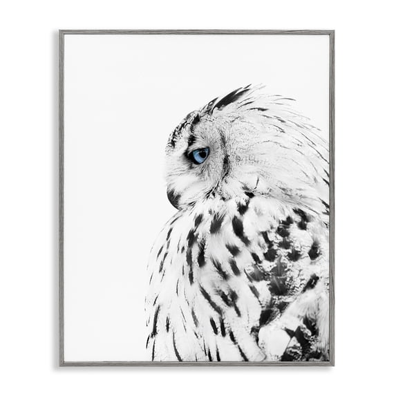 Stupell Industries Farmhouse Snow Owl Peering Blue Eyes Gray Framed Giclee Art, 16 x 20, by Design Fabrikken
