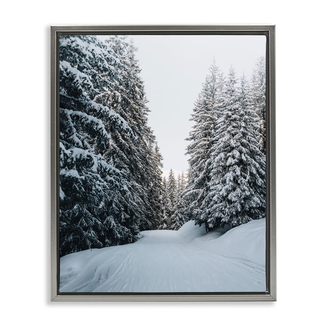 Stupell Industries Farmhouse Snowy Ski Slopes Gray Floating Frame ...