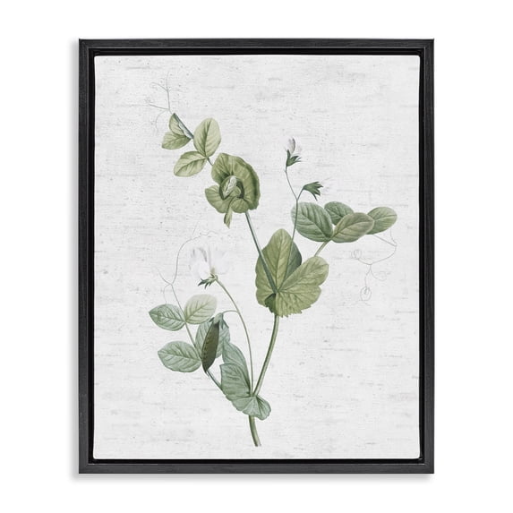 Stupell Industries Farmhouse Soft Country Botanical Black Floating Frame Canvas Art, 17 x 21, by Lettered and Lined