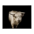 thumbnail image 1 of Stupell Industries Farmhouse Solemn Cattle Portrait Modern Farm Animal over Black Canvas Art, 20 x 16, by Marika Moffit, 1 of 7