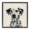 thumbnail image 1 of Stupell Industries Farmhouse Traditional Dalmatian Portrait Black Floating Frame Canvas Art, 18 x 18, by Grace Popp, 1 of 7