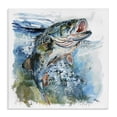 thumbnail image 1 of Stupell Industries Farmhouse Water Splashing Fish Canvas Art, 36 x 36, by LSR Design Studio, 1 of 8