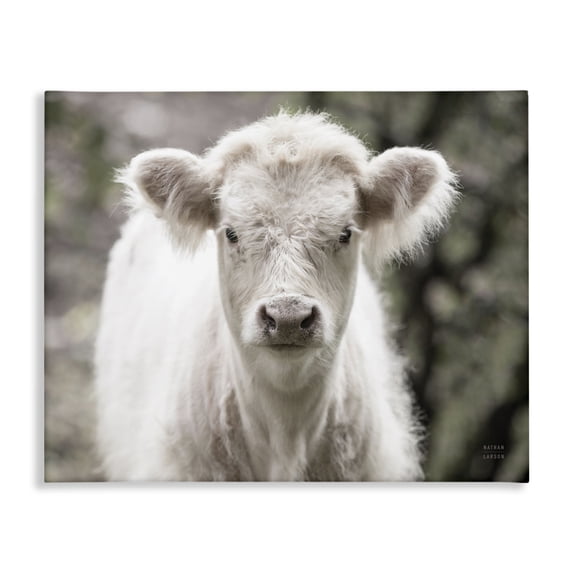 Stupell Industries Farmhouse White Cow Calf Portrait Canvas Art, 20 x 16, by Nathan Larson