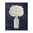 thumbnail image 1 of Stupell Industries Farmhouse White Floral Bouquet over Blue Canvas Art, 16 x 20, by James Wiens, 1 of 7