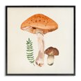 thumbnail image 1 of Stupell Industries Farmhouse Woodland Mushroom Botanical Fern Black Framed Giclee Art, 12 x 12, by Lucca Sheppard, 1 of 7