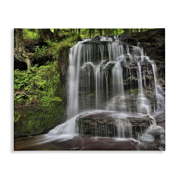 Stupell Industries Farmhouse Woodland Waterfall Nature Creek Canvas Art, 20 x 16, by Patrick Zephyr