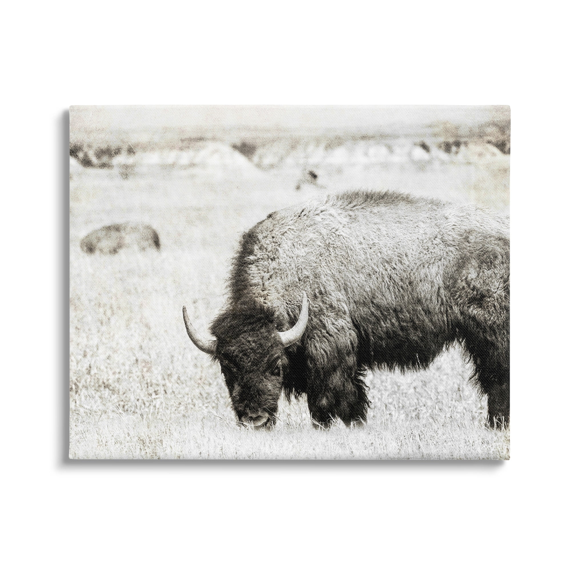Stupell Industries Farmland Country Bison Bull Grazing Pasture Monochrome Canvas Wall Art, 30 x 24, Design by Daniel Sproul