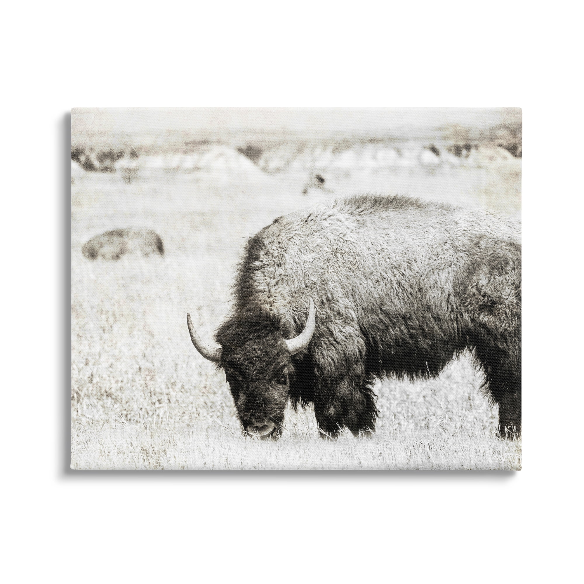 Stupell Industries Farmland Country Bison Bull Grazing Pasture Monochrome Canvas Wall Art, 48 x 36, Design by Daniel Sproul