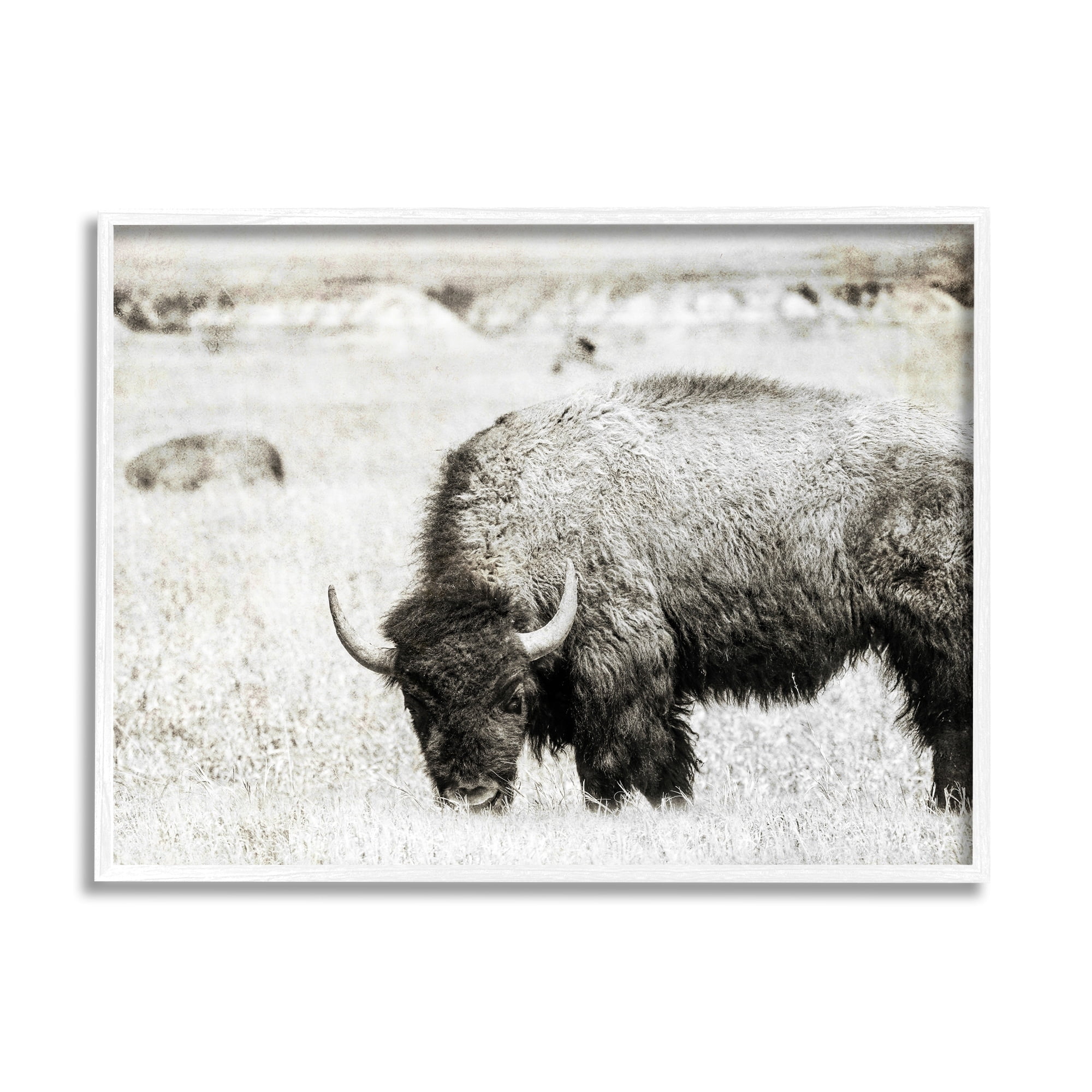 Stupell Industries Farmland Country Bison Bull Grazing Pasture Monochrome Framed Wall Art, 14 x 11, Design by Daniel Sproul