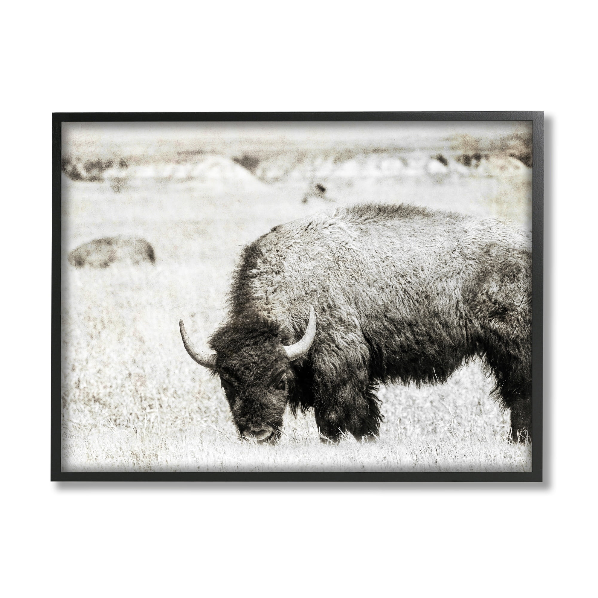 Stupell Industries Farmland Country Bison Bull Grazing Pasture Monochrome Framed Wall Art, 20 x 16, Design by Daniel Sproul