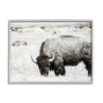 thumbnail image 1 of Stupell Industries Farmland Country Bison Bull Grazing Pasture Monochrome Framed Wall Art, 20 x 16, Design by Daniel Sproul, 1 of 5