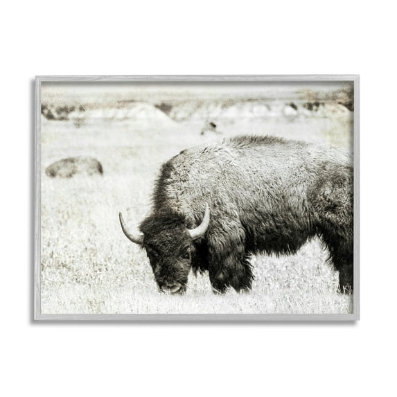 Stupell Industries Farmland Country Bison Bull Grazing Pasture Monochrome Framed Wall Art, 30 x 24, Design by Daniel Sproul