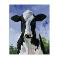 thumbnail image 1 of Stupell Industries Farmhouse Farmland Cow Cattle Country Blue Sky Canvas Art, 16 x 20, by Caverly Smith, 1 of 7