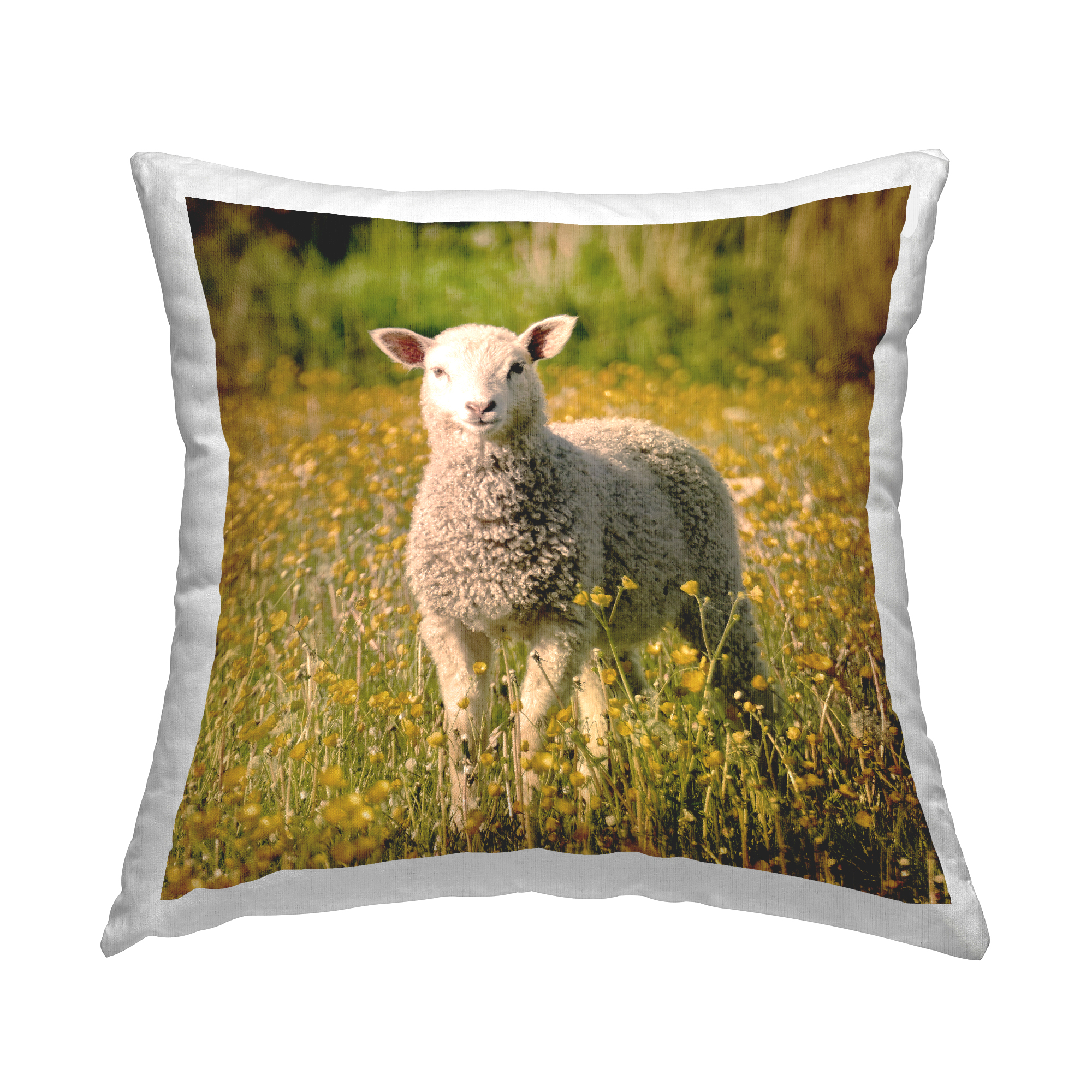 Stupell Industries Farmland Sheep Country Flower Meadow Design by Daphne Polselli Throw Pillow