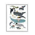 thumbnail image 1 of Stupell Industries Fashionable Sea Creatures Animals & Insects Painting White Framed Art Print Wall Art, 11 x 14, 1 of 9