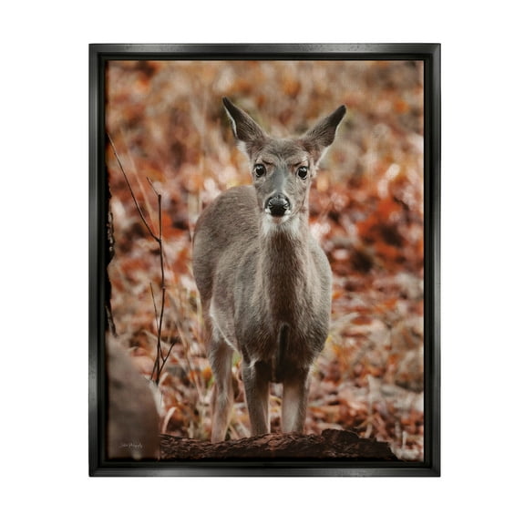 Stupell Industries Fawn in Autumn Nature Animals & Insects Photography Black Floater Framed Art Print Wall Art, 17 x 21