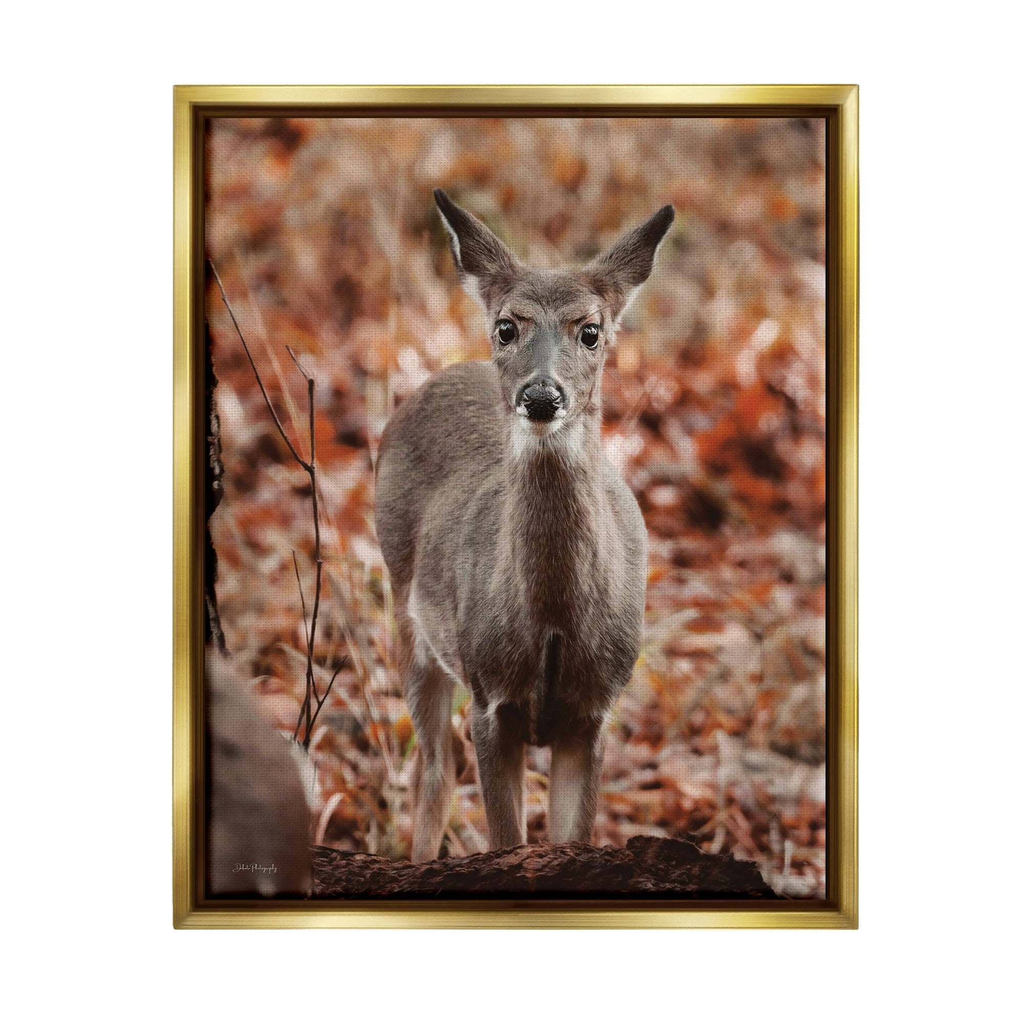 Stupell Industries Fawn in Autumn Nature Animals & Insects Photography Gold Floater Framed Art Print Wall Art, 17 x 21