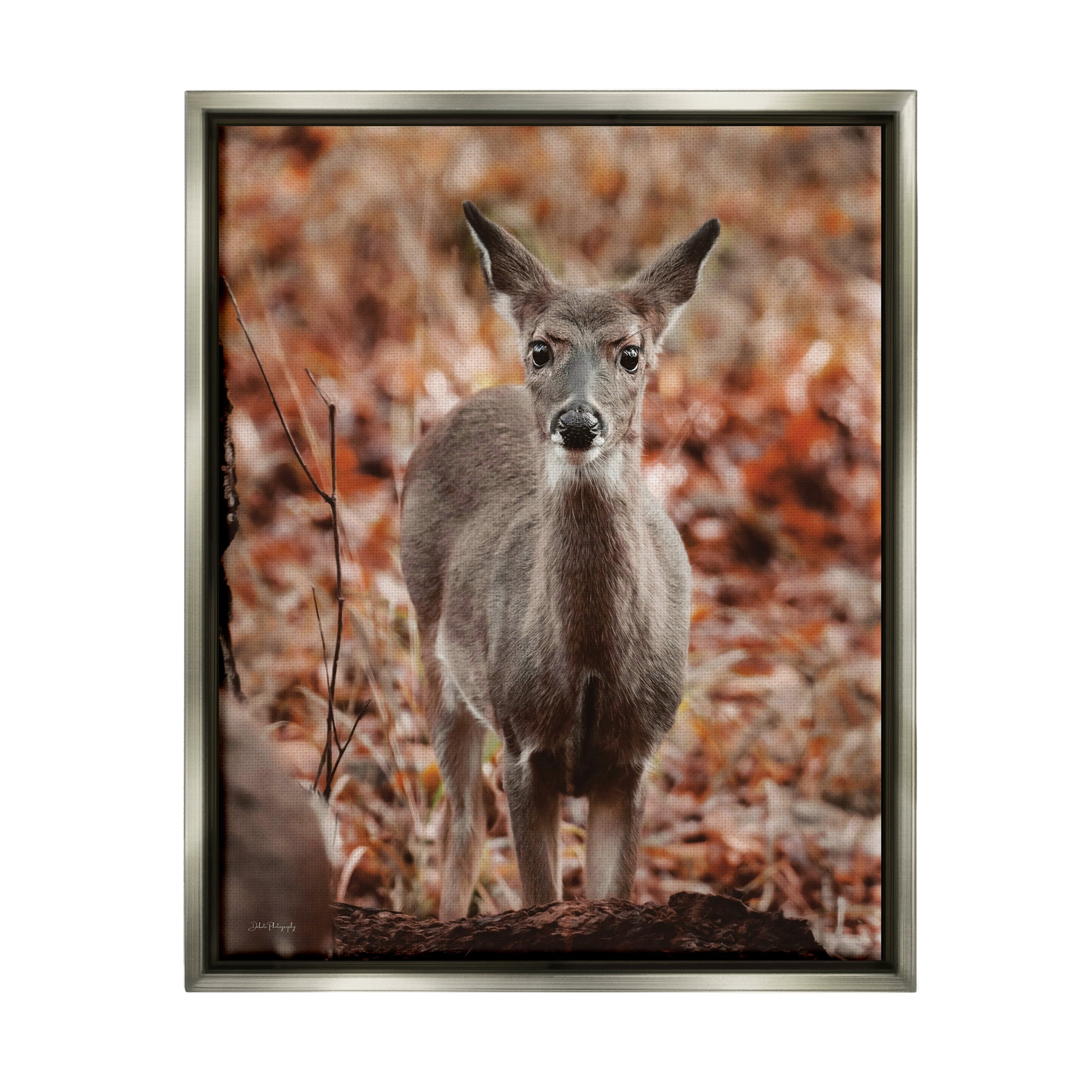 Stupell Industries Fawn in Autumn Nature Animals & Insects Photography Gray Floater Framed Art Print Wall Art, 25 x 31