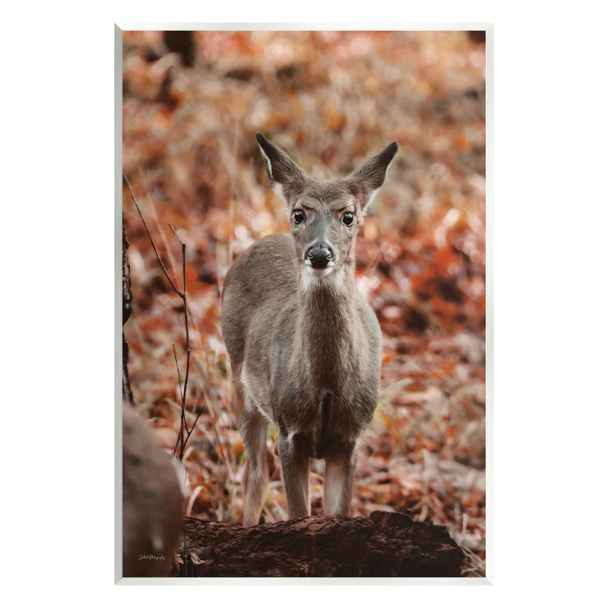 Stupell Industries Fawn in Autumn Nature Animals & Insects Photography Unframed Art Print Wall Art, 10 x 15