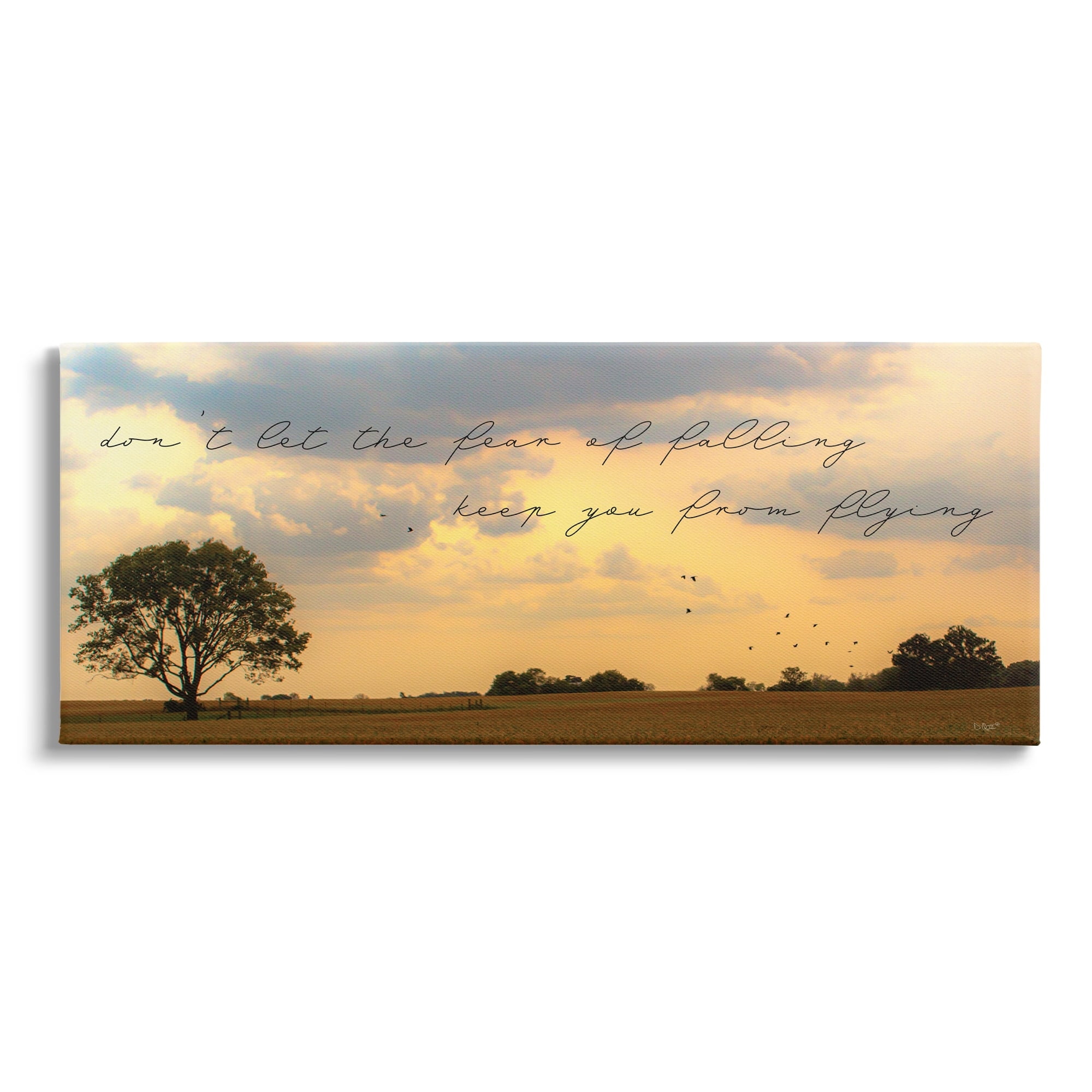 Stupell Industries Fear of Falling Motivational Adversity Phrase Sunset Park,30 x 13, Design by Donnie Quillen