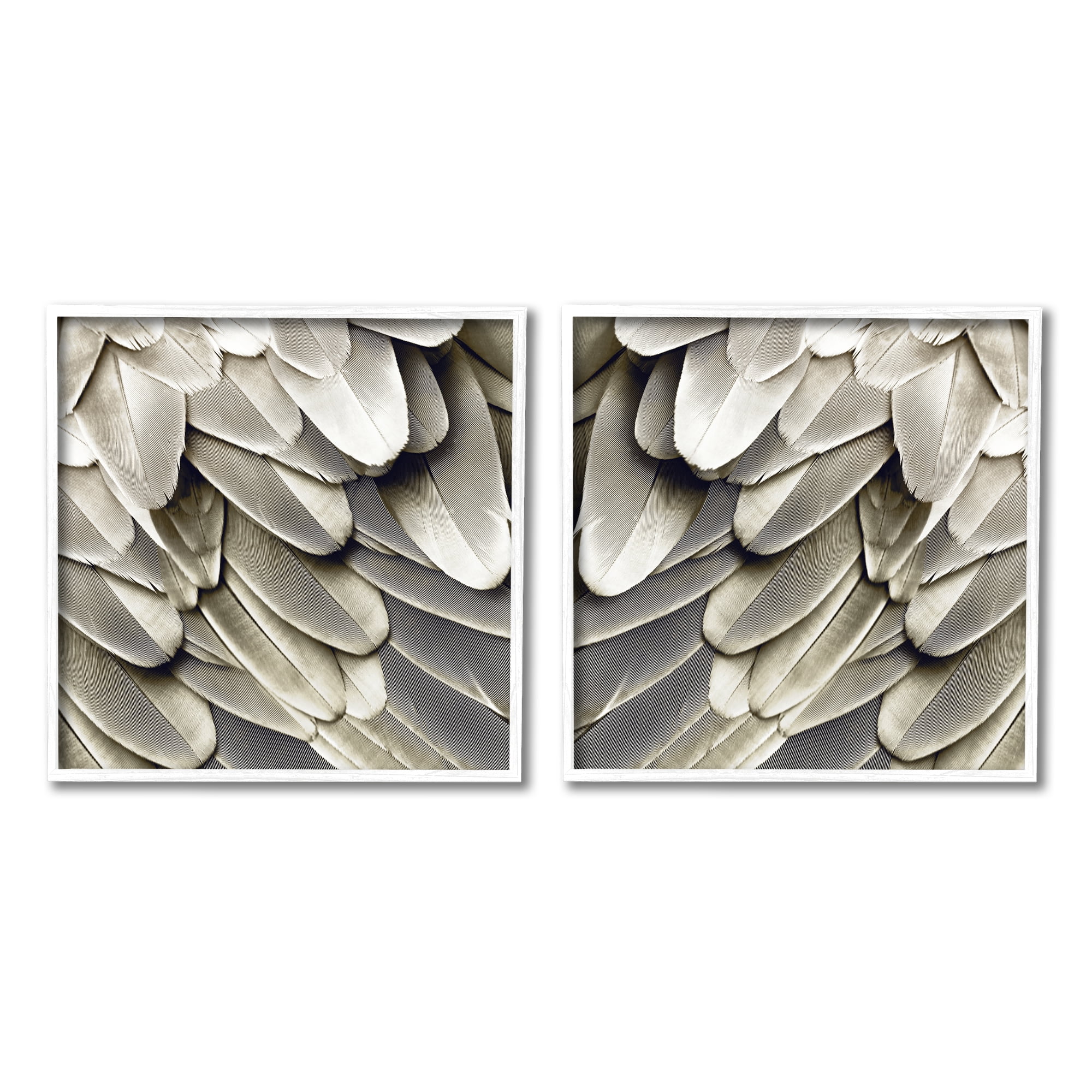 Stupell Industries Feathered Bird Wings Lovely Close Up Photography, 24 x 24, Design by Julia Bosco